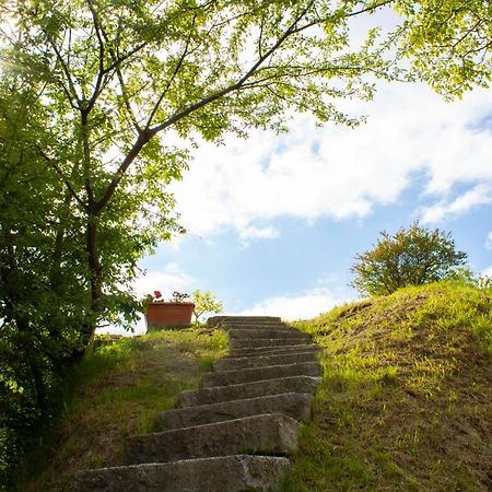 Bed and Breakfast Ca' Nova Valverde  Экстерьер фото