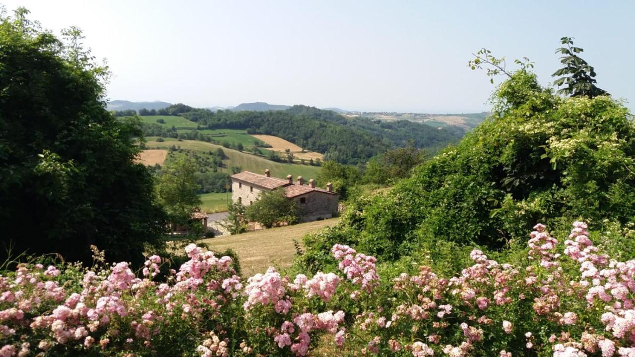 Bed and Breakfast Ca' Nova Valverde  Экстерьер фото